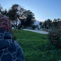 mouradiyahya259