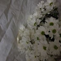 оригінальний звук