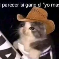 c4rnede4zuc4r