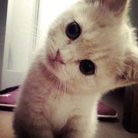 оригінальний звук