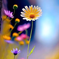 เสียงต้นฉบับ - ความทรงจํา..เชียง..โคน