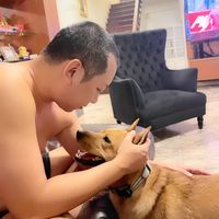 tohng_thang.engaging