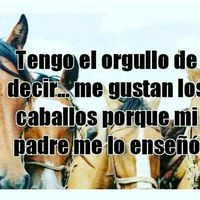 david_q63