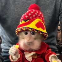 оригінальний звук