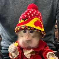 original sound - bibizyandia