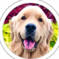 original sound - lifeofsterlingnewton