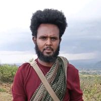 halo.amhara12m