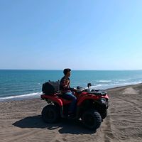 mauris_550