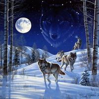 timber_wolf54