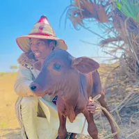 original sound - isma_hamadou