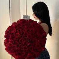 alexia_yn