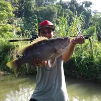 original sound - angler_kidal