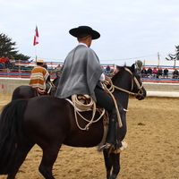 vicentemalhuevela