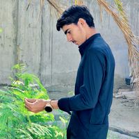 baloch71676