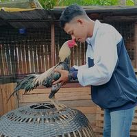 suara asli - mas bhagas_21