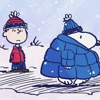 ifyouseethisdonttellme