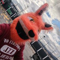 elninobiker.i.n.d.150z