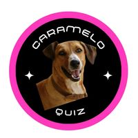carameloquiz
