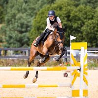 magda_equine
