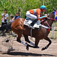 sonido original