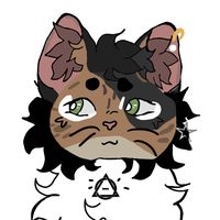 harperclaws14