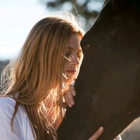 horselovesy