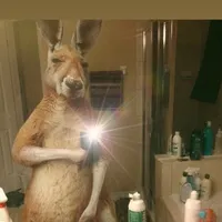 original sound - euri_lyrics29