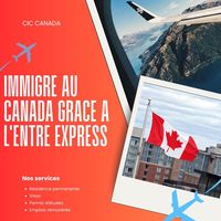 expertise.imigrat5