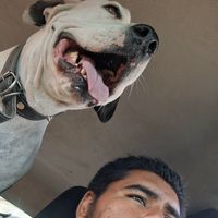 danielcarranza98