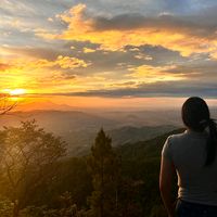 castillo.castillo459