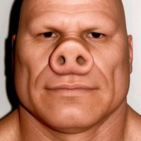 peterviral502_gt