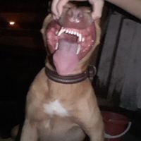 user019292903