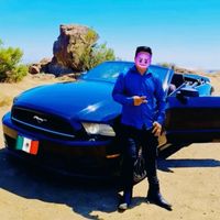 leojuniorflores783