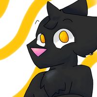 luckyzin12334