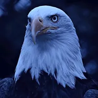 original sound - motiva.aguiaa