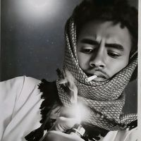 البالطابي 511