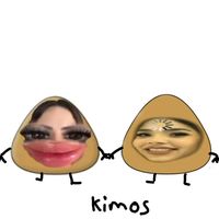 team_linduras145