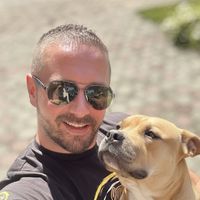 golden_wolf_dogtraining