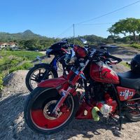 seresita503
