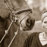 myhorsemylive