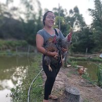 simplicidadedafabiula