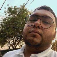 mizaflores04
