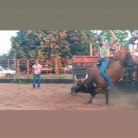 original sound - matheusbezerra970