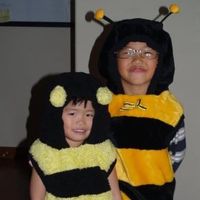 colethebee