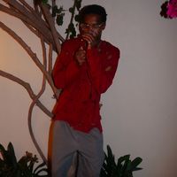 neverenouv