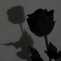 yasmin.luane5