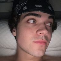 maybealexanderstewart