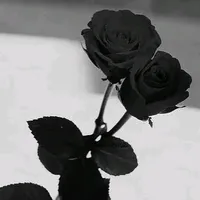 original sound - alone_0631_yb