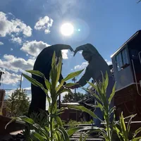 original sound - sophia.m093