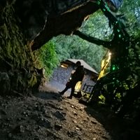 oscarviniciotorre